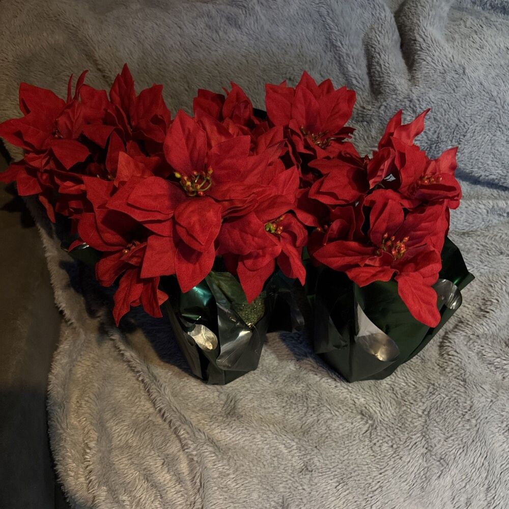 Ashland Red Poinsettia in Decorative Green Pot Small Lot Of 4